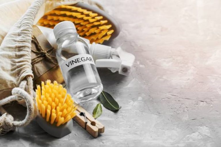A Guide to Cleaning Mold with Vinegar
