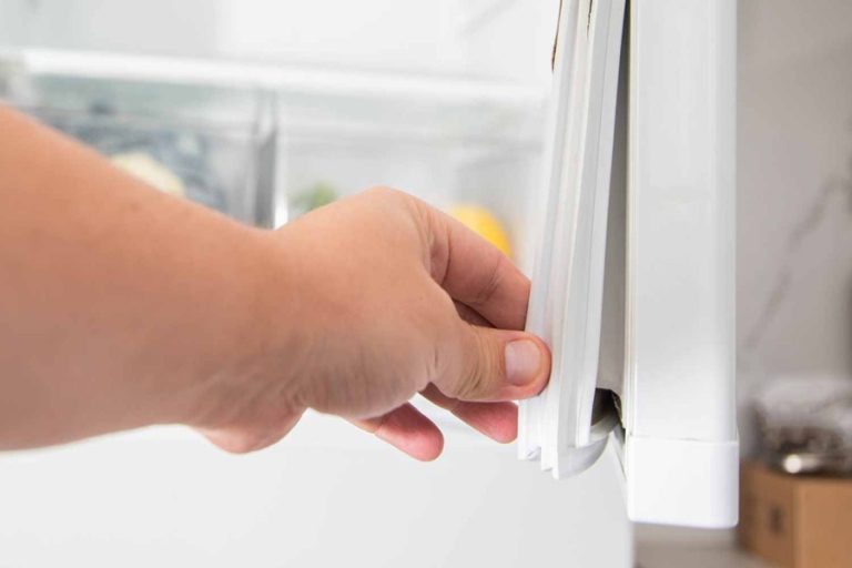 How to Clean the Rubber Seal on Your Refrigerator Door, According to Pros