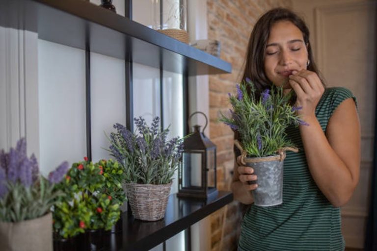 How to Make Your House Smell Amazing (Without Chemical Sprays)